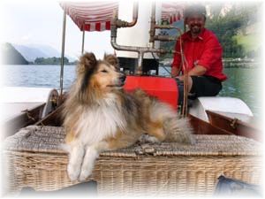 0040 02-07-2006 DLB Lungernsee, Caesar