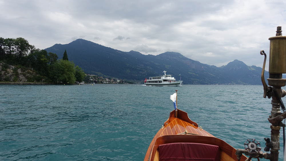 0021 25-06-2017 Hertenstein, MS Flüelen