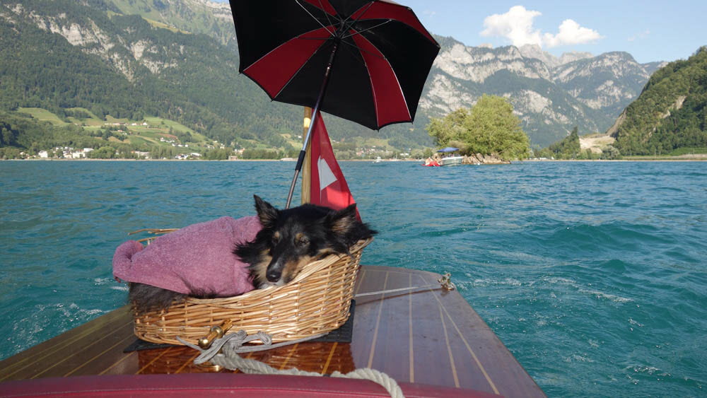 0690 21-07-2015 Rückfahrt nach Unterterzen, Bella